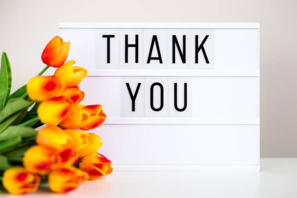 istock lightbox with text 