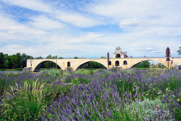 ponte em avignon, frança - rhone bridge - fotografias e filmes do acervo