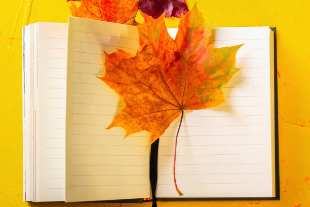 istock Autumn concept. Open Notepad and autumn leaves on a yellow concrete background. Top view 1276577967