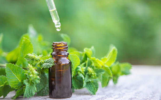 istock Peppermint essential oil in a small bottle. Selective focus. 1276579400