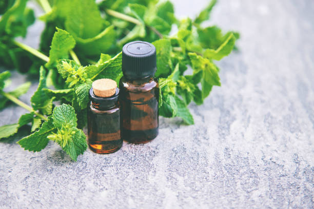 istock Peppermint essential oil in a small bottle. Selective focus. 1276579476