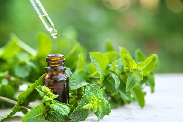 istock Peppermint essential oil in a small bottle. Selective focus. 1276579519