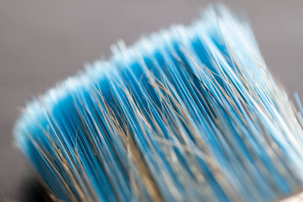 istock New synthetic hair brush 1276580296
