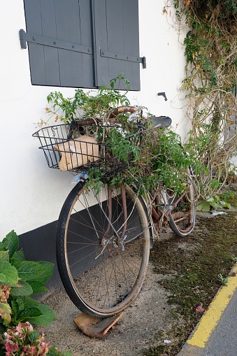 Old bike with plants in a street of Loix on the island of Ré