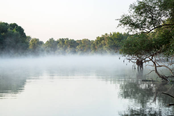 朝の川上の水の蒸発、水の上の霧 - vaporization ストックフォトと画像