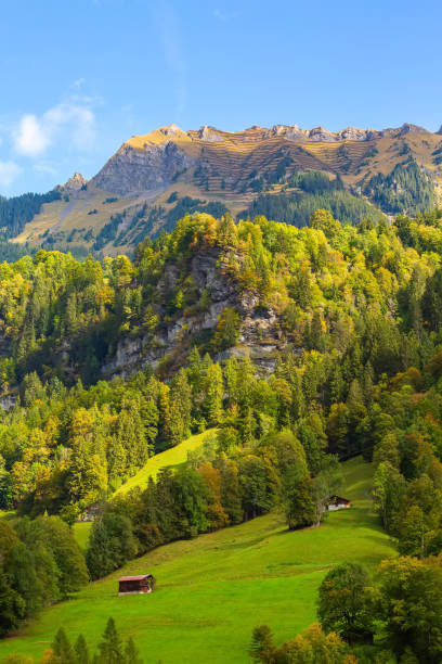 mannlichen presso swiss alps, svizzera - bernese oberland foto e immagini stock