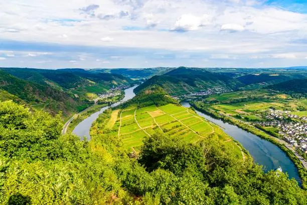 Loop of Bremm from Calmont on the romantic Moselle, Mosel river. Panorama view. Rhineland-Palatinate, Germany