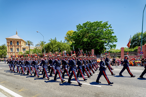 Seville, Spain - June 01, 2019: Parade of the different corps of the Spanish army.during display of Spanish Armed Forces Day in Seville, Spain.