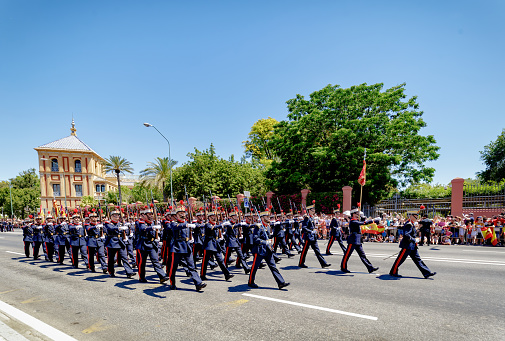 Seville, Spain - June 01, 2019: Parade of the different corps of the Spanish army.during display of Spanish Armed Forces Day in Seville, Spain.
