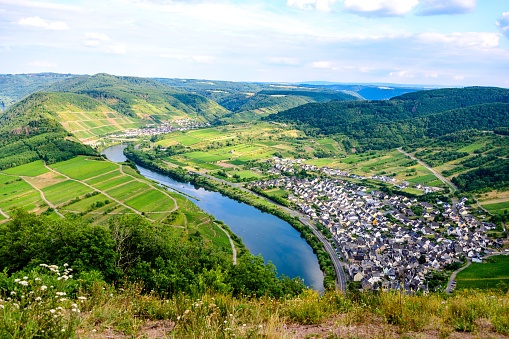 Loop of Bremm on the romantic Moselle, Mosel river. Rhineland-Palatinate, Germany.