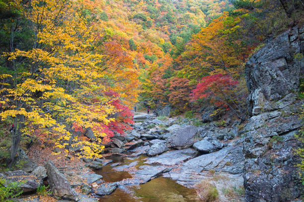 istock Autumn Landscape of Korea 1276591622