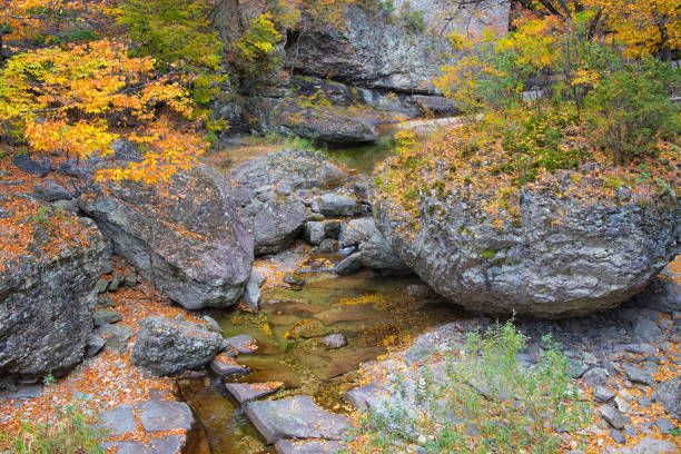 istock Autumn Creek in Korea 1276591649