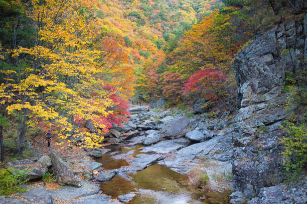 istock Autumn Landscape of Korea 1276591672