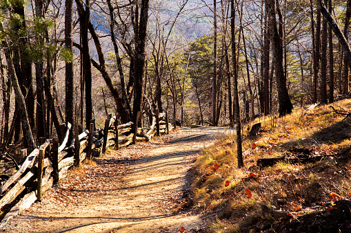 A wide hiking path is lined with a split rail fence.  The path undulates into the distance. There is copy space at the bottom of the image in the path. The path is in Stone Mountain National Park in North Carolina