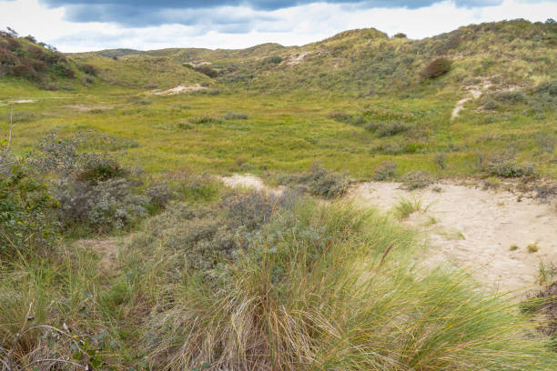 istock Landscape with dunes under a clouded sky, national park Meijendel 1276593121