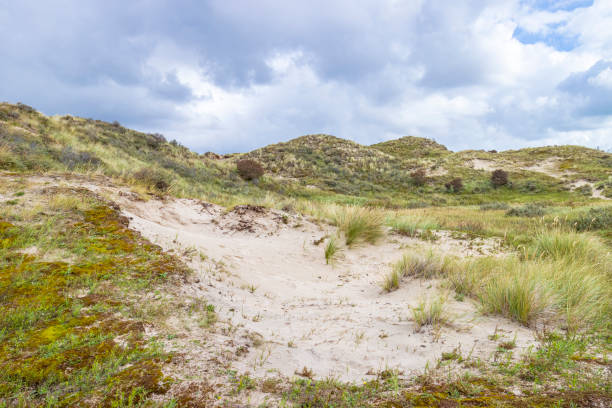 istock Landscape with dunes under a clouded sky, national park Meijendel 1276593354