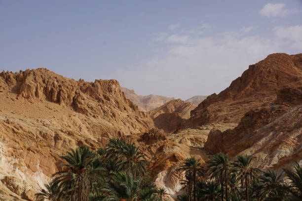 istock travel to Tunisia 1276594015
