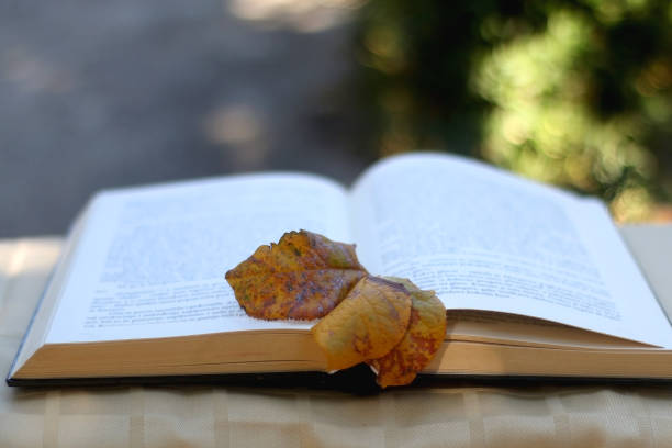 istock Book and Autumn Leaves 1276596134