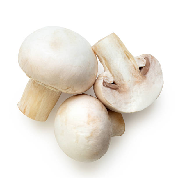 Button mushrooms. Group of two and half button mushrooms isolated on white. Top view. edible mushroom stock pictures, royalty-free photos & images