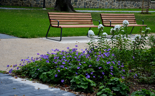 Wooden seat on the grass with white wall behind and cobble stone pavement in the foreground.