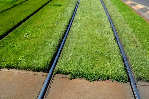 Photo of grassing of train tracks between tram tracks in the city. part of it is automatic irrigation with retractable sprayers regular mowing requires experienced gardeners. improves the quality of town