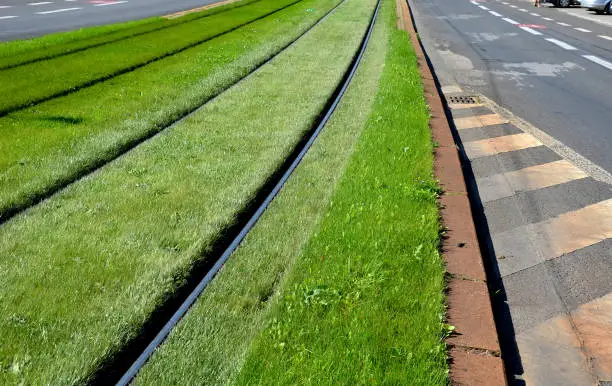 Photo of grassing of train tracks between tram tracks in the city. part of it is automatic irrigation with retractable sprayers regular mowing requires experienced gardeners. improves the quality of town