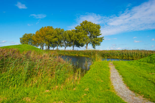 Dike in a green grassy field in sunlight under a blue sky in autumn, Almere, Flevoland, The Netherlands, September 24, 2020