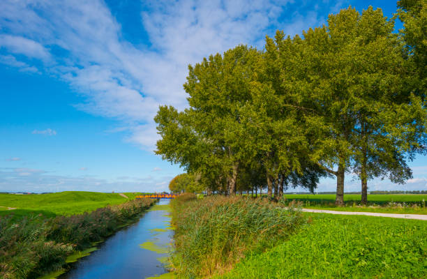 istock Bridge over a canal in a green grassy landscape in sunlight at fall 1276601448