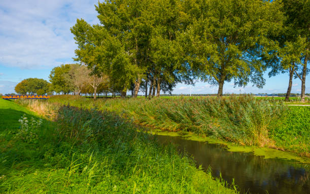 istock Bridge over a canal in a green grassy landscape in sunlight at fall 1276601490