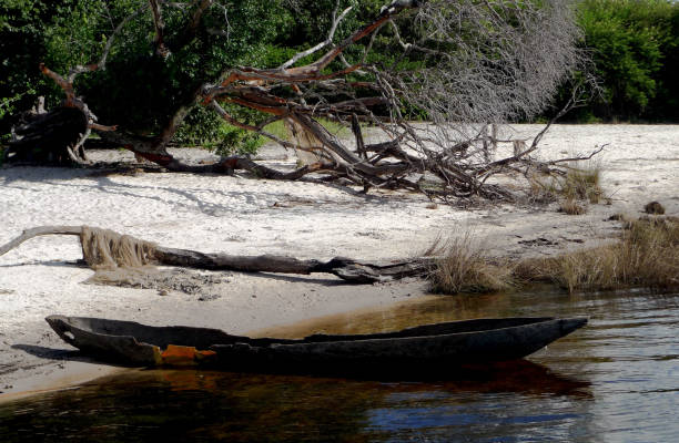 istock An old broken down dug-out canoe beached next to the Zambezi River in Zambia 1276602879