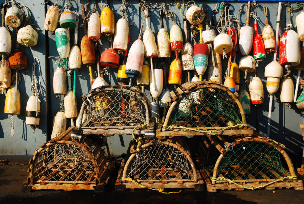istock Lobster traps and buoys 1276602915