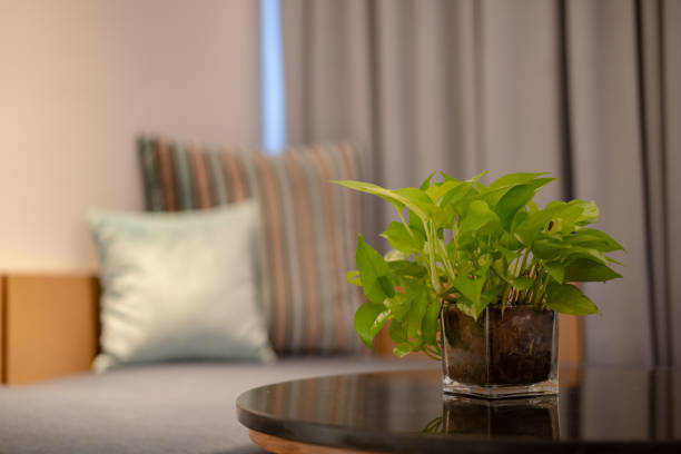 istock Close up of plant inside glass pot with on table. 1276604611