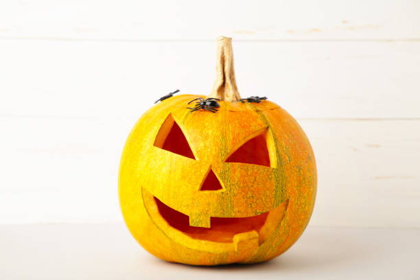 istock Halloween pumpkin with spiders on white background with copy space 1276605493