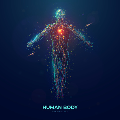 Human body front view abstract vector illustration made of colored neon particles on blue background