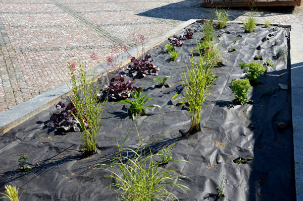 lecho de flores levantado en la plaza con perennes recién plantados triturados con tela negra no tejida. se utiliza para proteger contra las maleces y secar el suelo en verano, se pone bajo guijarros o mantillo - non rural scene fotografías e imágenes de stock