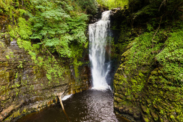 istock Tall waterfall in a narrow canyon surrounded by green foliage (Sgwd Einion Gam, Waterfall Country, Wales) 1276610396