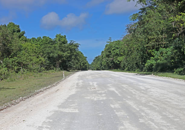 istock mining road through National Park on Christmas Island 1276613323