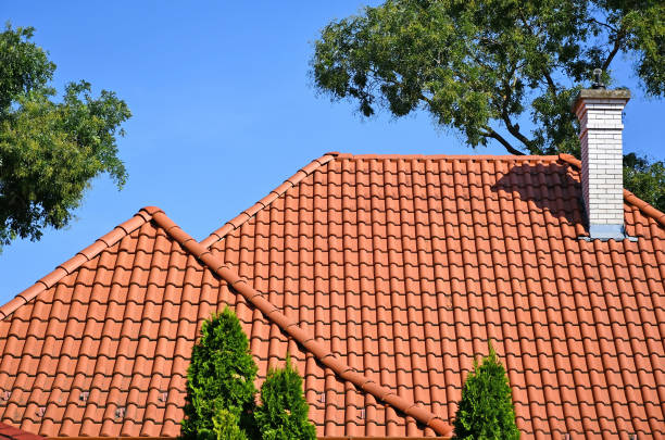 telhado de uma casa e árvores - roof tile - fotografias e filmes do acervo