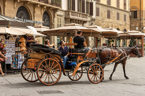 Old horse-drawn carriages in Seville Street, Spain
