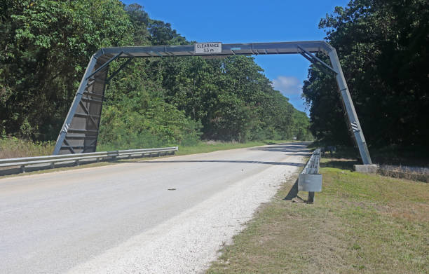 Crab bridge over a rural road