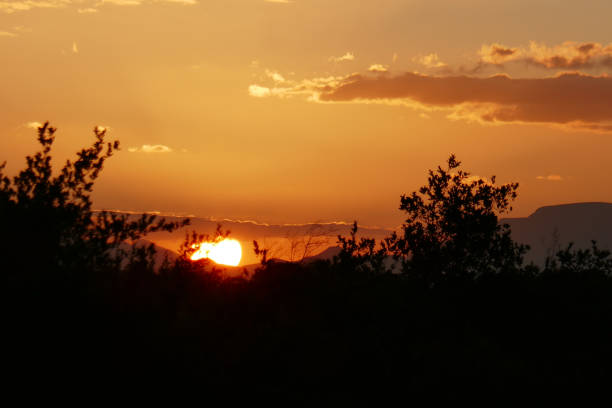 istock Sunset @ Thornybush, South Africa 1276619164