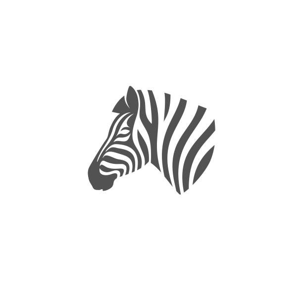 illustrazioni stock, clip art, cartoni animati e icone di tendenza di testa zebrata - mule animal profile animal head