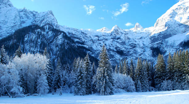 istock the snow on the woods 1276619537