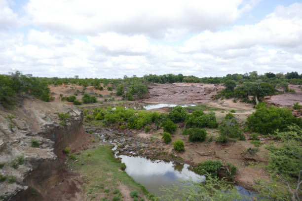 istock Kruger National Park, South Africa 1276620513