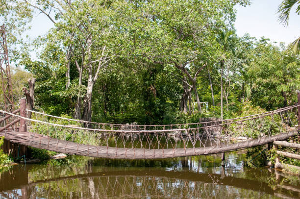 istock Wood rope bridge in forest. 1276620923