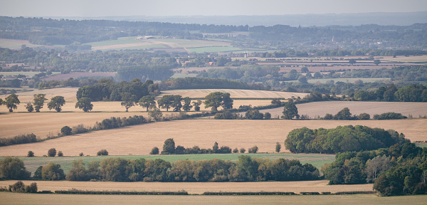 A view of the Oxfordshire landscape from the mighty Chiltern Hills.