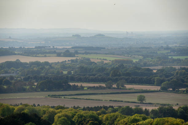 Cannock Chase, often referred to locally as The Chase, is a mixed area of countryside in the county of Staffordshire, England. The area has been designated as the Cannock Chase Area of Outstanding Natural Beauty and is managed by Forestry England. It is a former Royal forest.