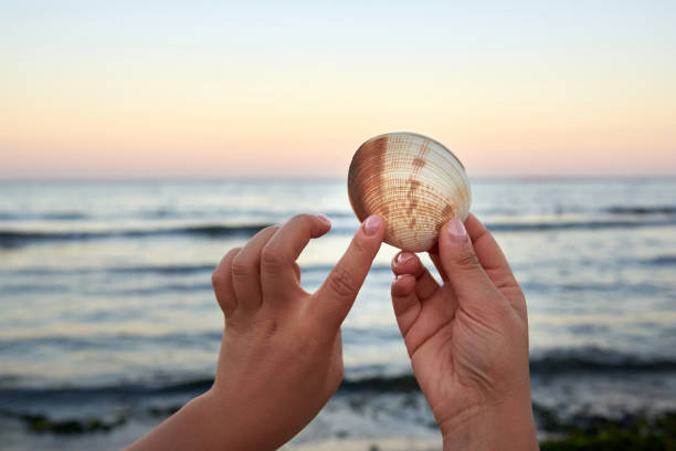 istock Woman's hands gently hold a seashell on the sea. 1276621560