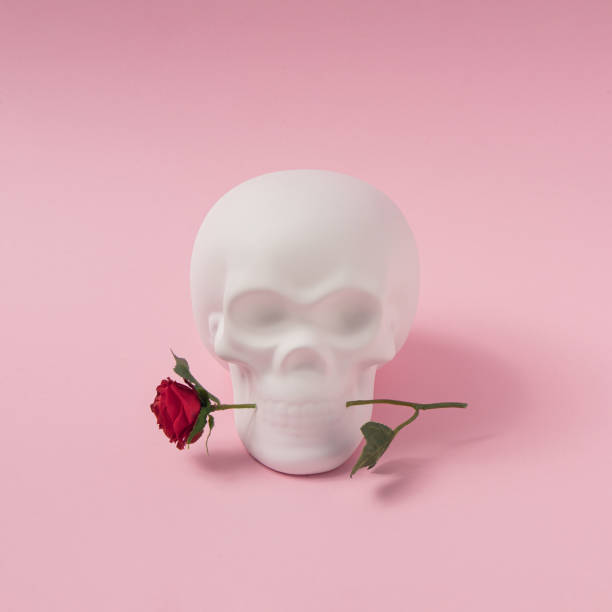 istock Skull with rose flower. Minimal romantic love concept. 1276623382