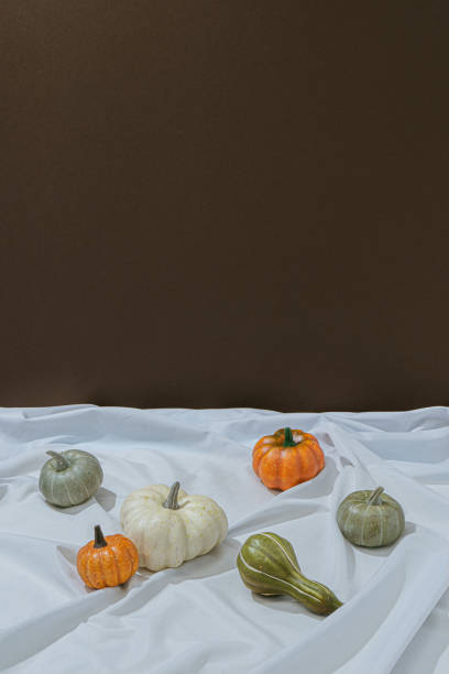 istock Retro styled still life arrangement with pumpkins. 1276623895